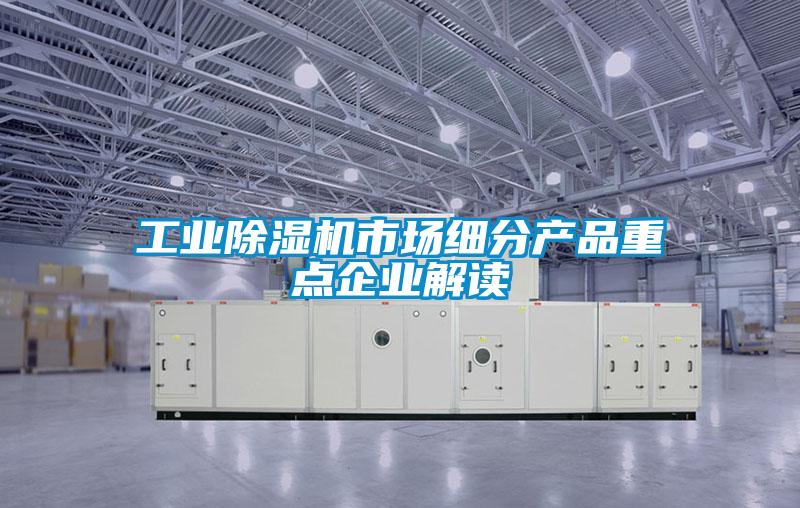 工業(yè)除濕機(jī)市場細(xì)分產(chǎn)品重點(diǎn)企業(yè)解讀