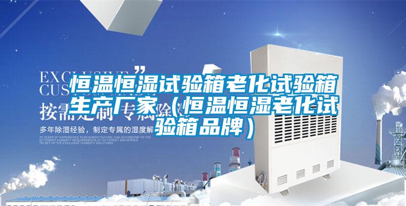 恒溫恒濕試驗箱老化試驗箱生產(chǎn)廠家(恒溫恒濕老化試驗箱品牌)