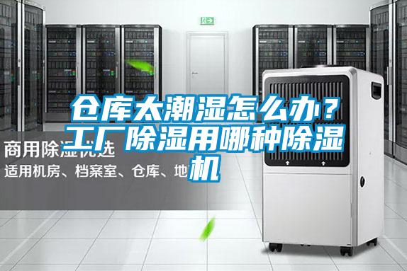 倉庫太潮濕怎么辦？工廠除濕用哪種除濕機