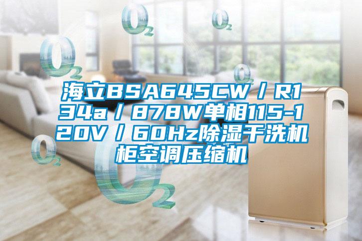 海立BSA645CW／R134a／878W單相115-120V／60Hz除濕干洗機柜空調(diào)壓縮機