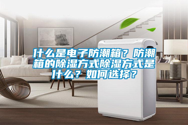 什么是電子防潮箱？防潮箱的除濕方式除濕方式是什么？如何選擇？
