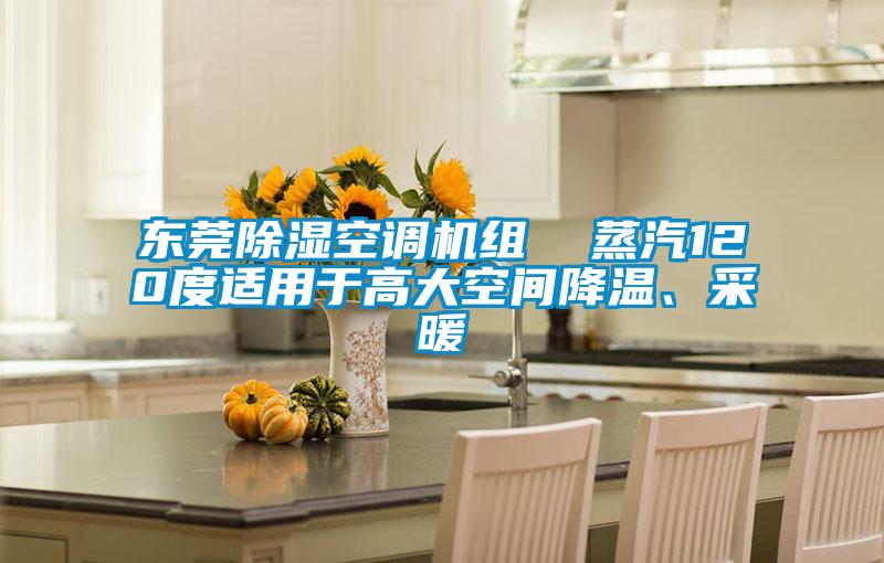東莞除濕空調(diào)機組  蒸汽120度適用于高大空間降溫、采暖