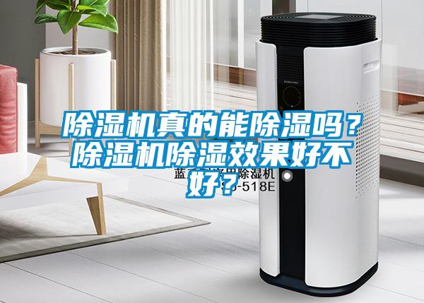 除濕機真的能除濕嗎？除濕機除濕效果好不好？