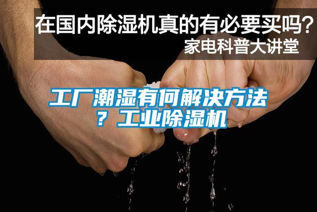 工廠潮濕有何解決方法？工業除濕機