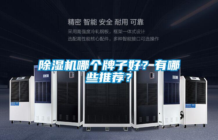 除濕機哪個牌子好？有哪些推薦？