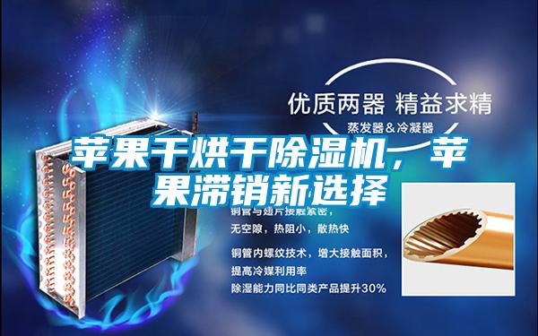 蘋果干烘干除濕機，蘋果滯銷新選擇