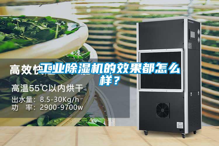工業除濕機的效果都怎么樣？