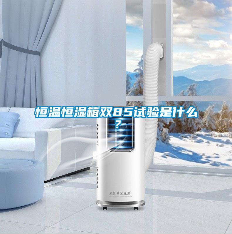 恒溫恒濕箱雙85試驗是什么？