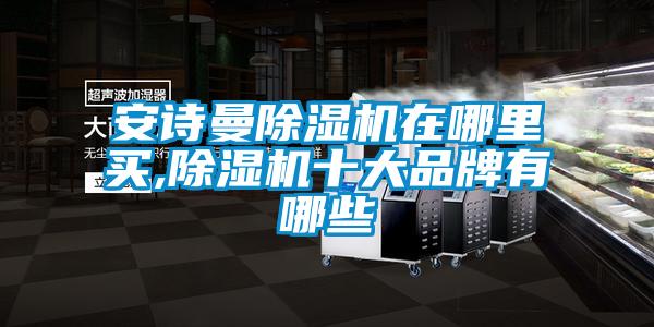 安詩曼除濕機(jī)在哪里買,除濕機(jī)十大品牌有哪些