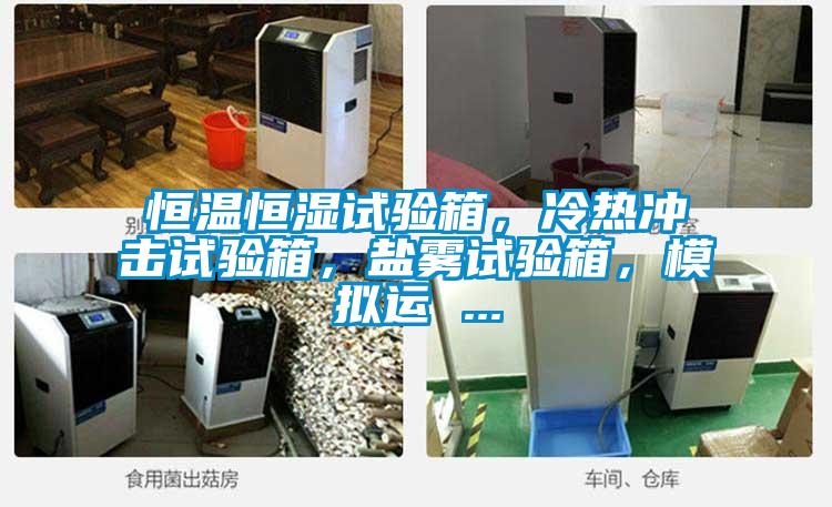 恒溫恒濕試驗箱，冷熱沖擊試驗箱，鹽霧試驗箱，模擬運 ...