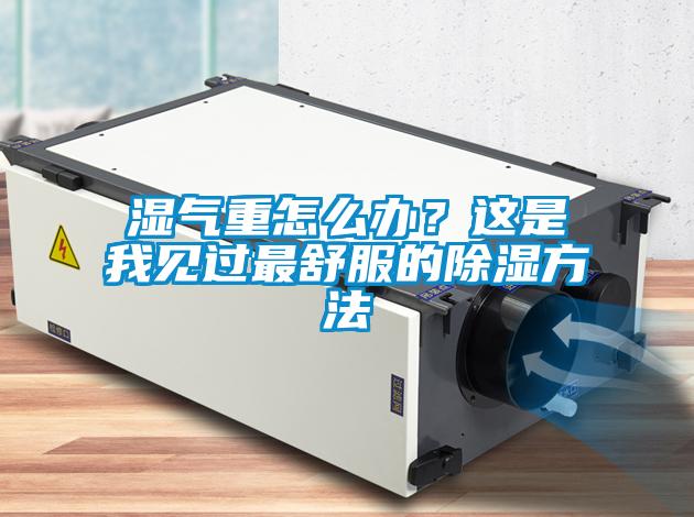 濕氣重怎么辦？這是我見過(guò)最舒服的除濕方法