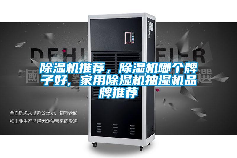 除濕機(jī)推薦，除濕機(jī)哪個(gè)牌子好, 家用除濕機(jī)抽濕機(jī)品牌推薦