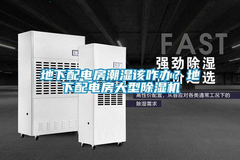 地下配電房潮濕該咋辦？地下配電房大型除濕機