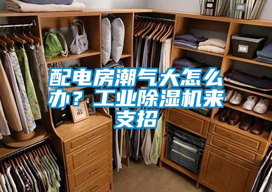 配電房潮氣大怎么辦？工業(yè)除濕機(jī)來支招