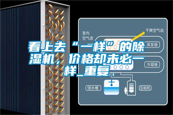 看上去“一樣”的除濕機(jī)，價格卻未必一樣_重復(fù)