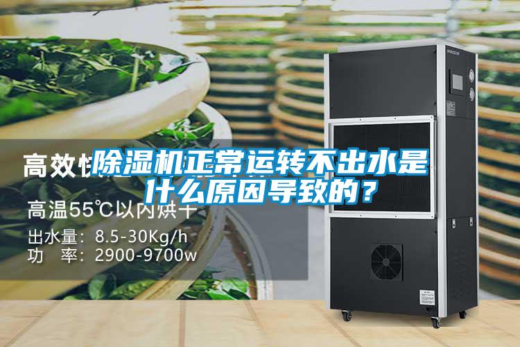 除濕機正常運轉(zhuǎn)不出水是什么原因?qū)е碌模?/></p>
						    <p style=