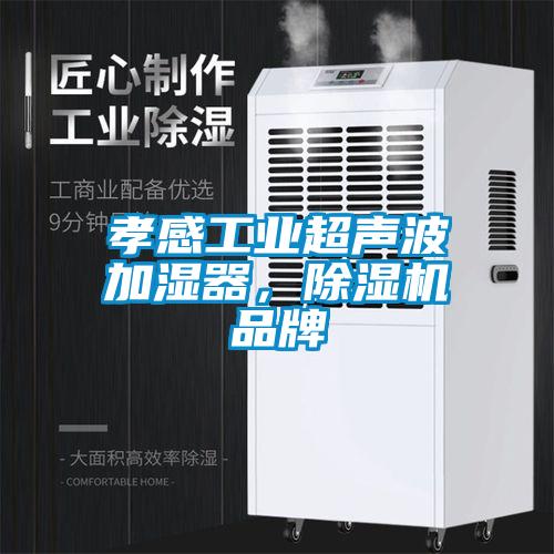 孝感工業(yè)超聲波加濕器，除濕機(jī)品牌