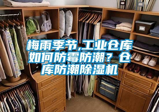 梅雨季節(jié),工業(yè)倉庫如何防霉防潮？倉庫防潮除濕機