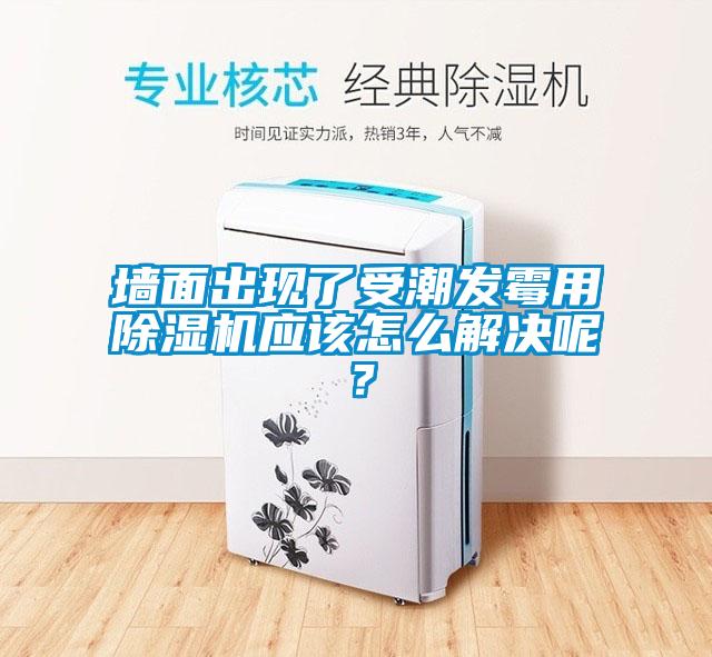 墻面出現(xiàn)了受潮發(fā)霉用除濕機應該怎么解決呢？