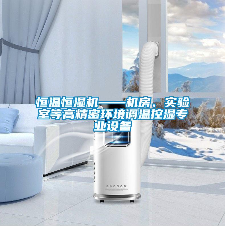 恒溫恒濕機——機房、實驗室等高精密環境調溫控濕專業設備
