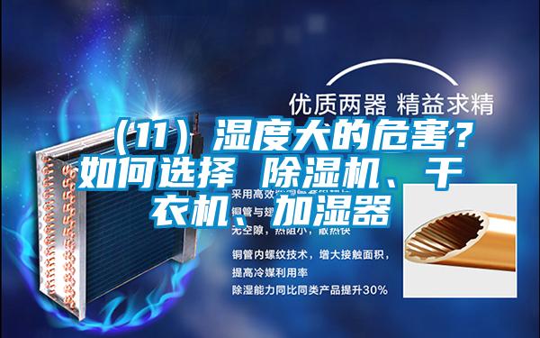 (11)濕度大的危害?如何選擇 除濕機、干衣機、加濕器