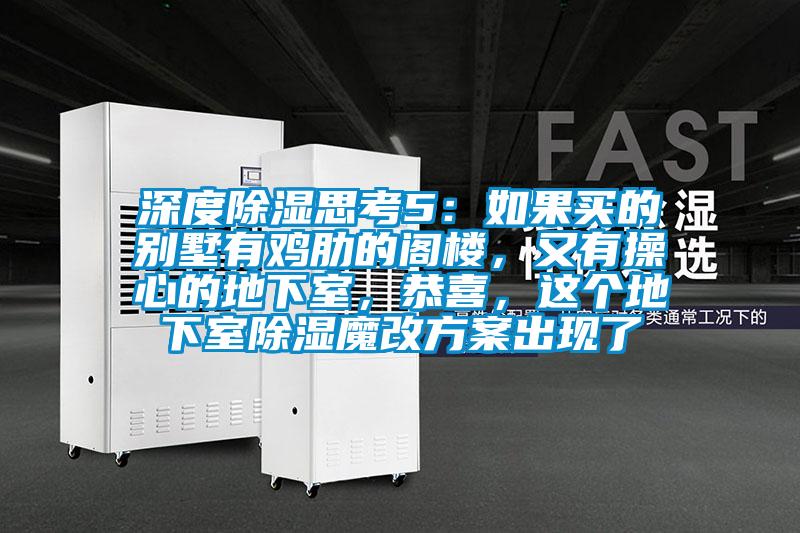 深度除濕思考5：如果買的別墅有雞肋的閣樓，又有操心的地下室，恭喜，這個地下室除濕魔改方案出現了