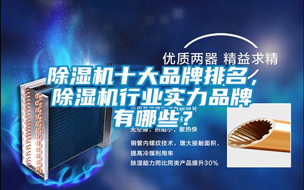 除濕機(jī)十大品牌排名,除濕機(jī)行業(yè)實(shí)力品牌有哪些?