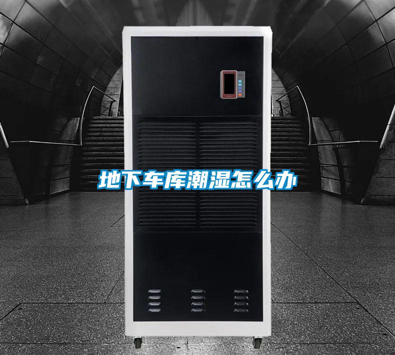 地下車(chē)庫(kù)潮濕怎么辦