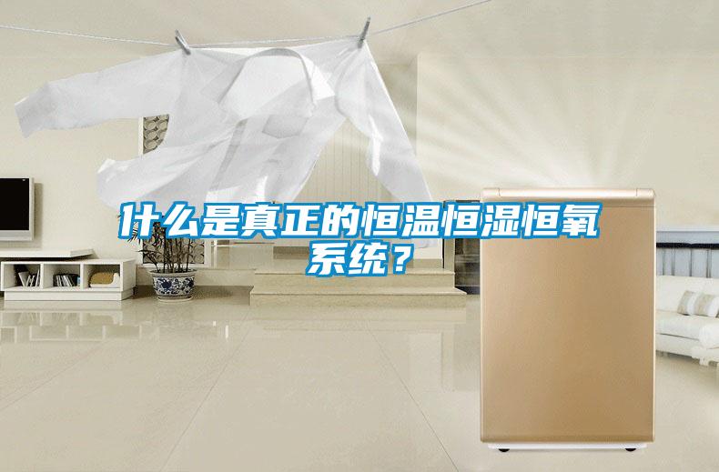 什么是真正的恒溫恒濕恒氧系統？