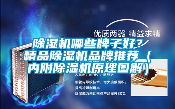 除濕機哪些牌子好？精品除濕機品牌推薦（內附除濕機原理圖解）