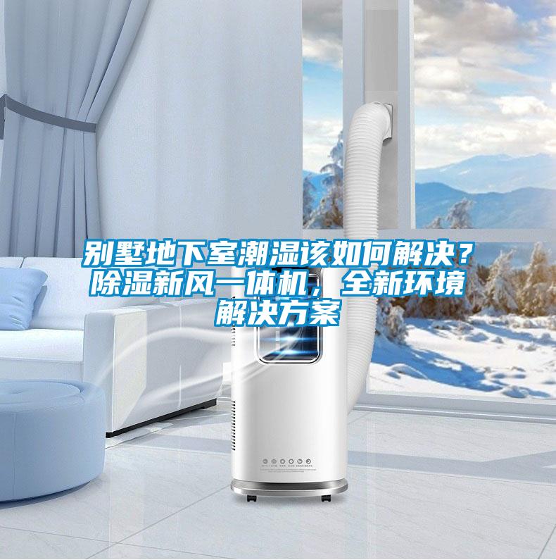 別墅地下室潮濕該如何解決？除濕新風一體機，全新環境解決方案