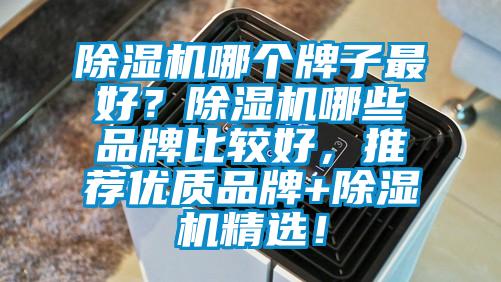 除濕機哪個牌子最好？除濕機哪些品牌比較好，推薦優(yōu)質(zhì)品牌+除濕機精選！