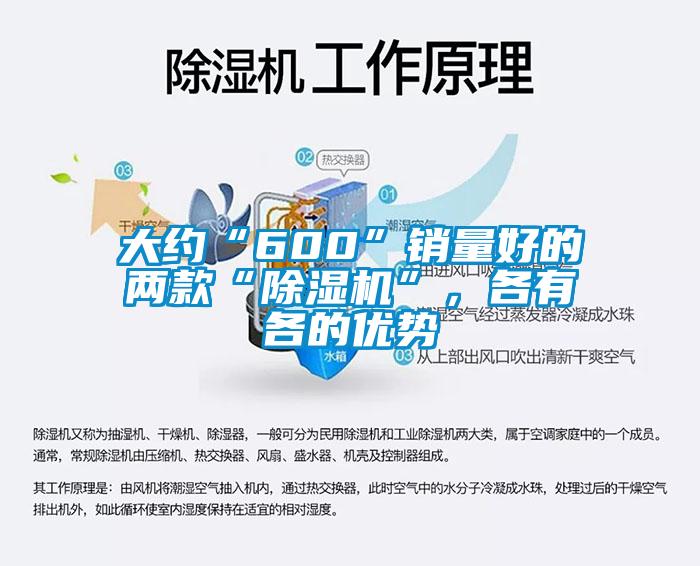 大約“600”銷量好的兩款“除濕機”，各有各的優(yōu)勢