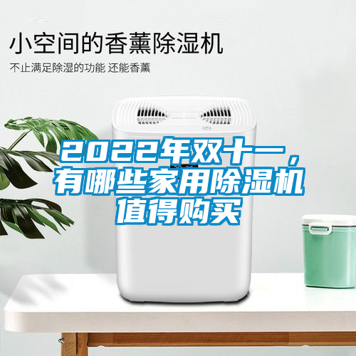 2022年雙十一，有哪些家用除濕機值得購買