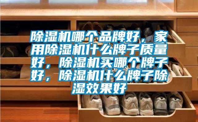 除濕機哪個品牌好，家用除濕機什么牌子質量好，除濕機買哪個牌子好，除濕機什么牌子除濕效果好