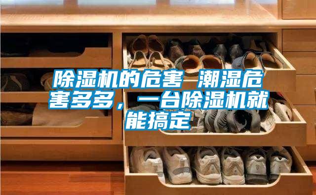除濕機(jī)的危害 潮濕危害多多，一臺(tái)除濕機(jī)就能搞定