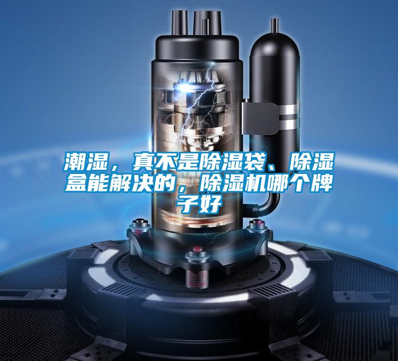 潮濕，真不是除濕袋、除濕盒能解決的，除濕機哪個牌子好