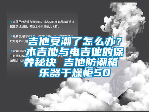 吉他受潮了怎么辦？木吉他與電吉他的保養秘訣 吉他防潮箱 樂器干燥柜50