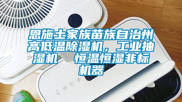 恩施土家族苗族自治州高低溫除濕機，工業抽濕機  恒溫恒濕非標機器