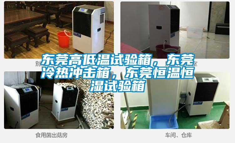 東莞高低溫試驗(yàn)箱，東莞冷熱沖擊箱，東莞恒溫恒濕試驗(yàn)箱