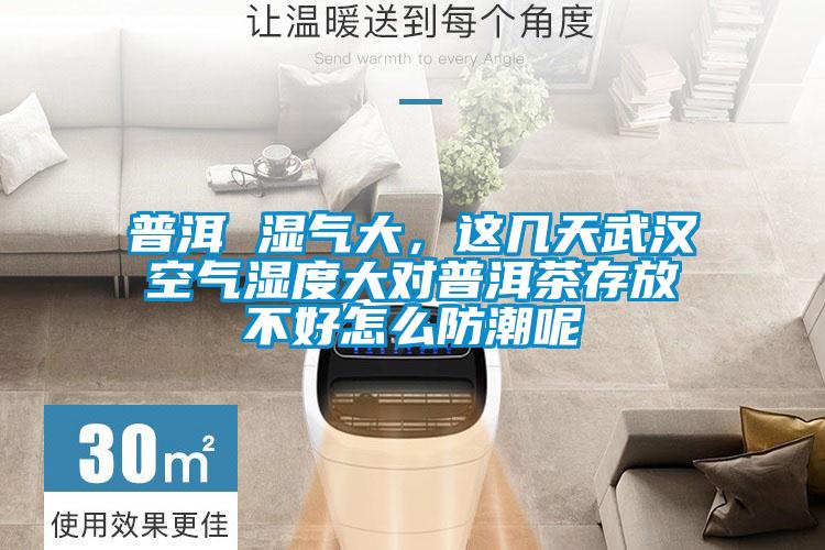 普洱 濕氣大，這幾天武漢空氣濕度大對普洱茶存放不好怎么防潮呢