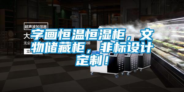 字畫恒溫恒濕柜，文物儲藏柜，非標設計定制！