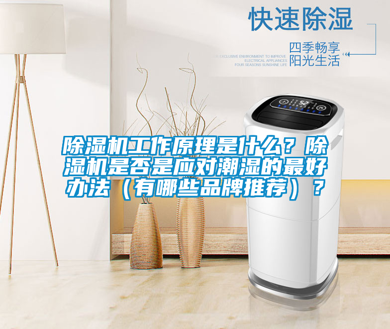 除濕機工作原理是什么？除濕機是否是應對潮濕的最好辦法（有哪些品牌推薦）？