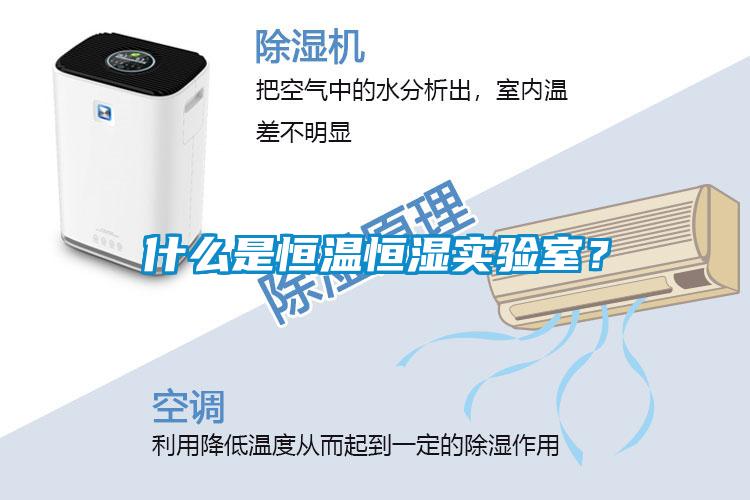 什么是恒溫恒濕實驗室？