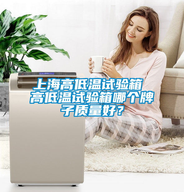 上海高低溫試驗(yàn)箱 高低溫試驗(yàn)箱哪個(gè)牌子質(zhì)量好？