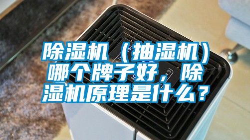 除濕機（抽濕機）哪個牌子好，除濕機原理是什么？