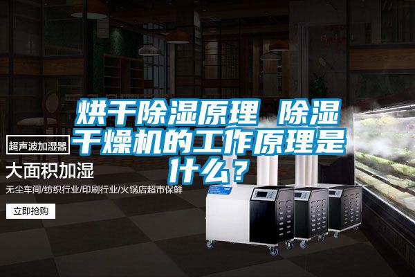 烘干除濕原理 除濕干燥機的工作原理是什么？