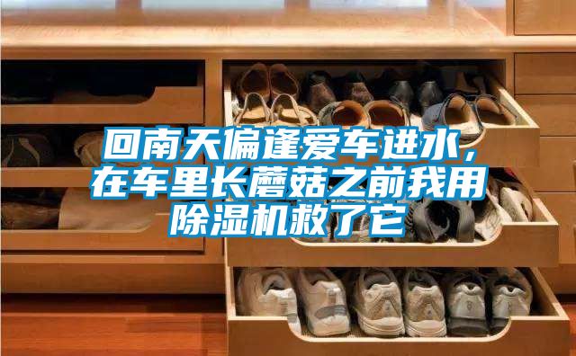回南天偏逢愛車進水，在車里長蘑菇之前我用除濕機救了它