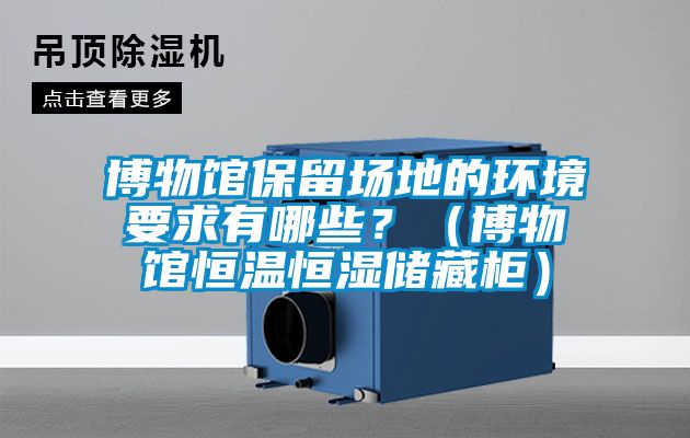 博物館保留場(chǎng)地的環(huán)境要求有哪些？（博物館恒溫恒濕儲(chǔ)藏柜）