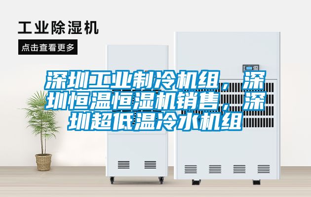 深圳工業制冷機組，深圳恒溫恒濕機銷售，深圳超低溫冷水機組